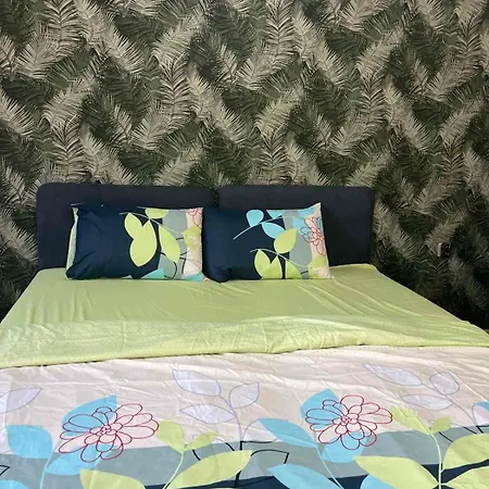 Green Apartment Apartment